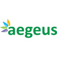 Aegeus Technologies SME logo