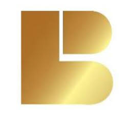 Behari Lal Engineering IPO logo