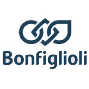 Bonfiglioli Transmissions IPO logo